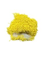 Pręciki do kwiatów zółty